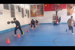 篮球足球排球皮球的照片分别是什么样子的？